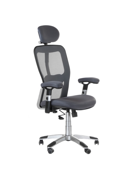 Fotel ergonomiczny CorpoComfort BX-4147 Szary