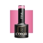 OCHO NAILS Lakier hybrydowy pink 317 -5 g - 2