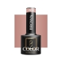 OCHO NAILS Lakier hybrydowy brown 803 -5 g - 2