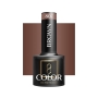 OCHO NAILS Lakier hybrydowy brown 807 -5 g - 2